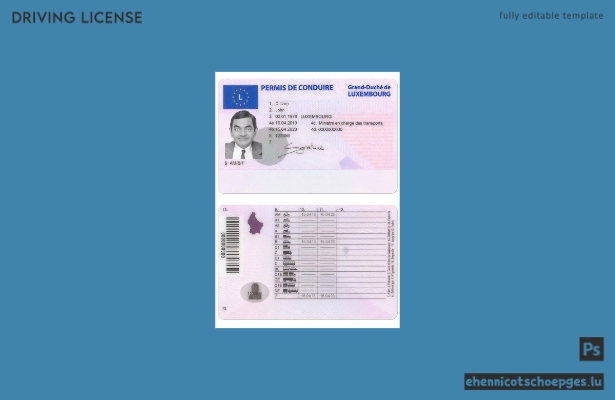 Beispiel für einen luxemburgischen Führerschein